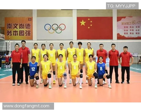 上海排球队的拼搏之路全运会特别报道展现奋斗精神与团队力量