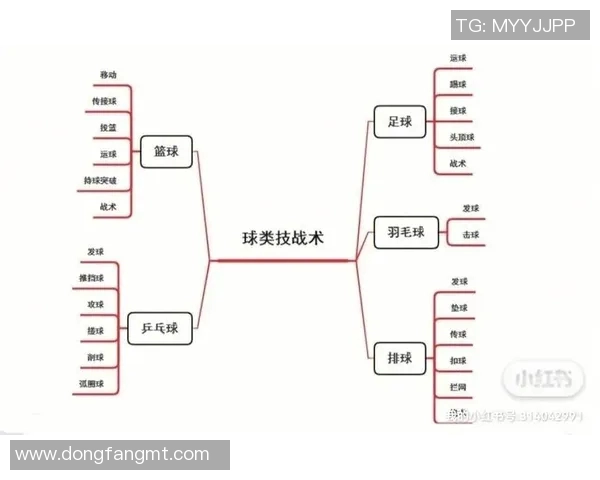 北京篮球队快攻战术解析与战绩影响深度剖析 北京篮球队快攻战术解析与战绩影响深度剖析