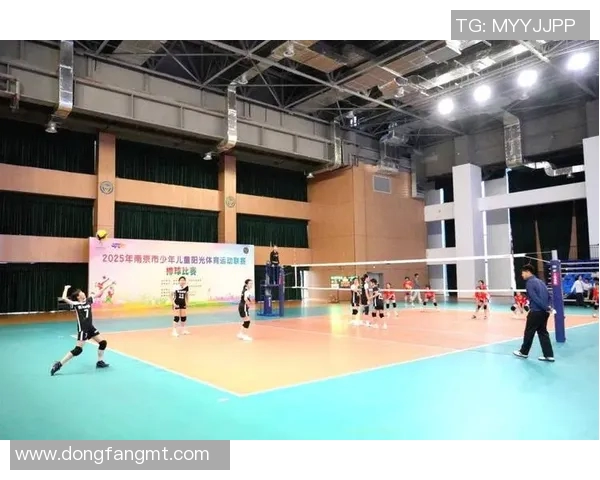 南京排球队比赛经验的创新与变革引发热议