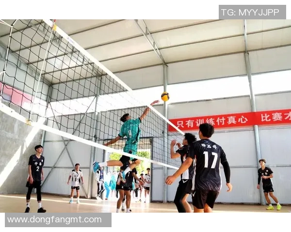 广州排球队在锦标赛中的默契配合与战术执行分析