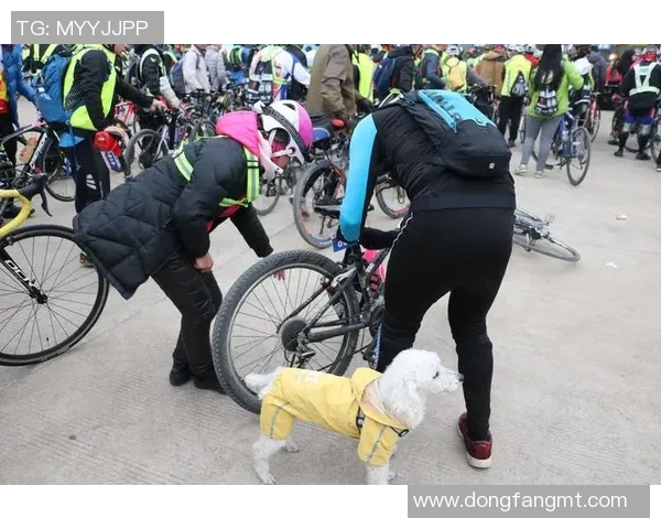 武汉足球队在挑战赛中的耐力表现分析与总结 武汉足球队在挑战赛中的耐力表现分析与总结