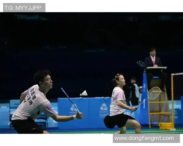 武汉羽毛球队速度之美大满贯点评展现竞技魅力与团队协作精神