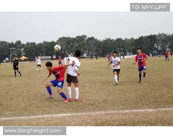 深圳乒乓球队的边路渗透战术解析与深度剖析 深圳乒乓球队的边路渗透战术解析与深度剖析