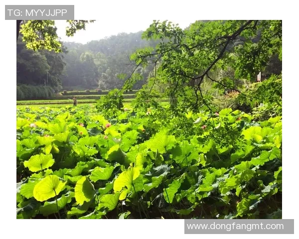 深度对话:周娜如何在足球世界中追寻梦想与自我成长 深度对话:周娜如何在足球世界中追寻梦想与自我成长