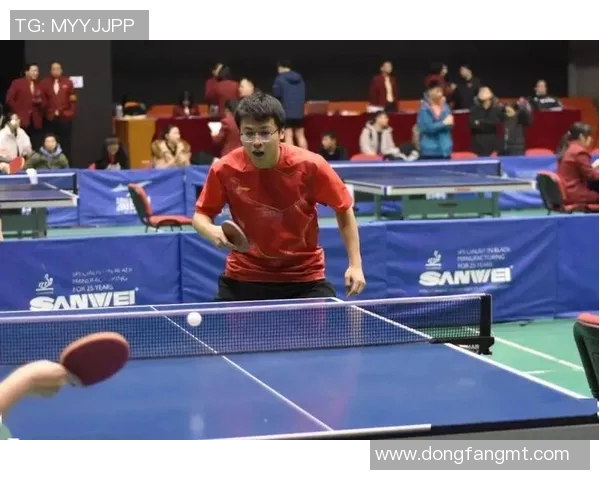 西安乒乓球队在冠军赛中的战术分析与表现评估