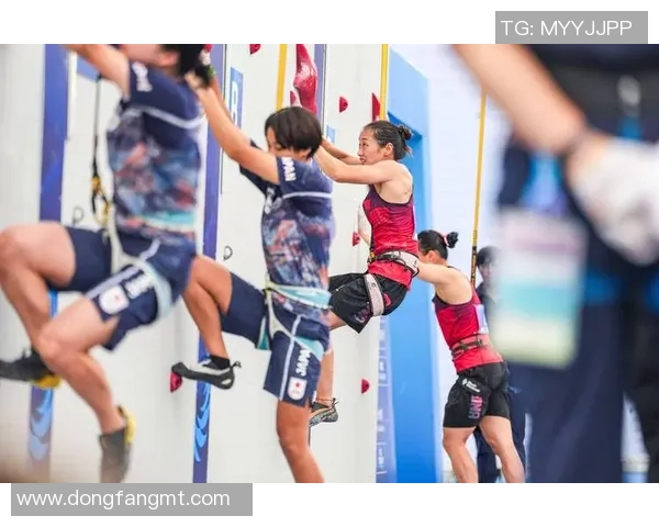 成都攀岩队个人能力引发热议攀岩爱好者的不同声音与观点分析