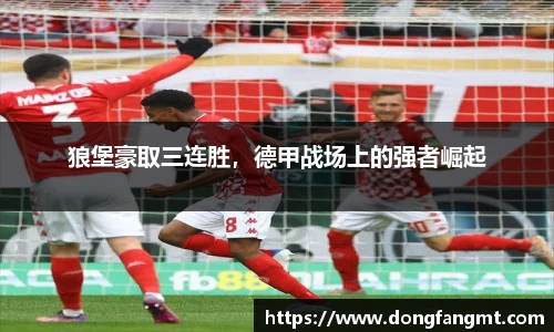 完美体育