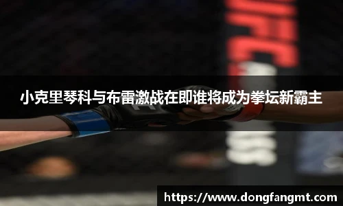 小克里琴科与布雷激战在即谁将成为拳坛新霸主