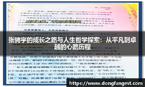 完美体育官网