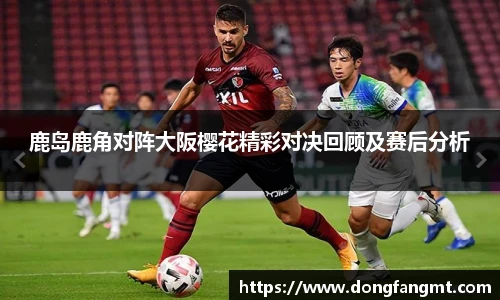 完美体育登录入口