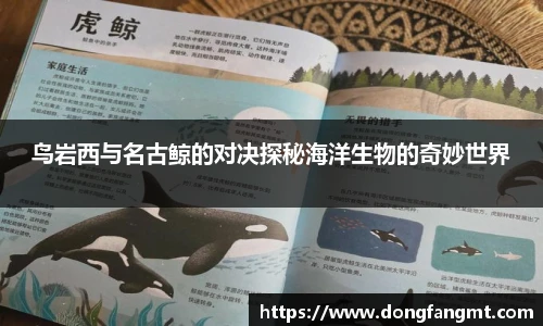 完美体育登录入口